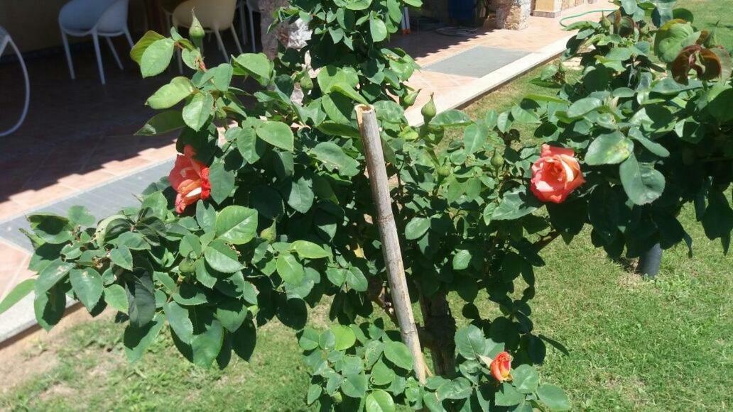 Cala Sinzias Villa Costa Rei Eksteriør bilde